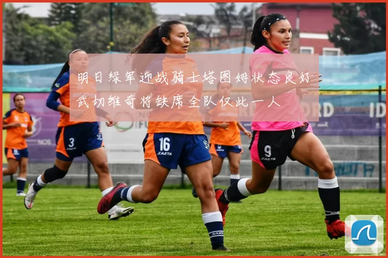 明日绿军迎战骑士塔图姆状态良好武切维奇将缺席全队仅此一人